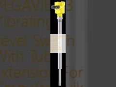 VB63.XXAGDRKMX VEGAVIB 63 입자형 벌크 고형물용 튜브 연장형 진동 레벨 스위치